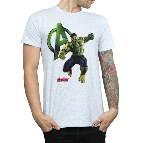 Hulk Pose T-shirt för män S Sports Grey Sports Grey S