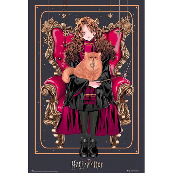 Harry Potter Dynasty Hermione Affisch One Size Röd/Svart/Brun Red/Black/Brown One Size
