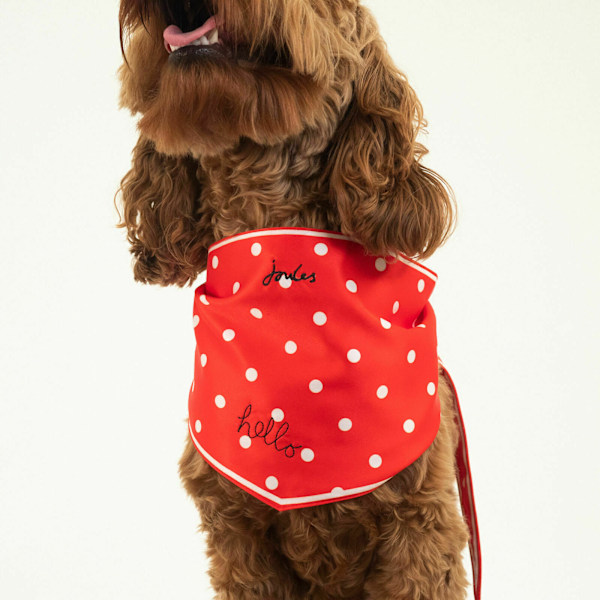 Joules Hello Polka Dot Hundhalsduk One Size Röd/Vit Red/White One Size