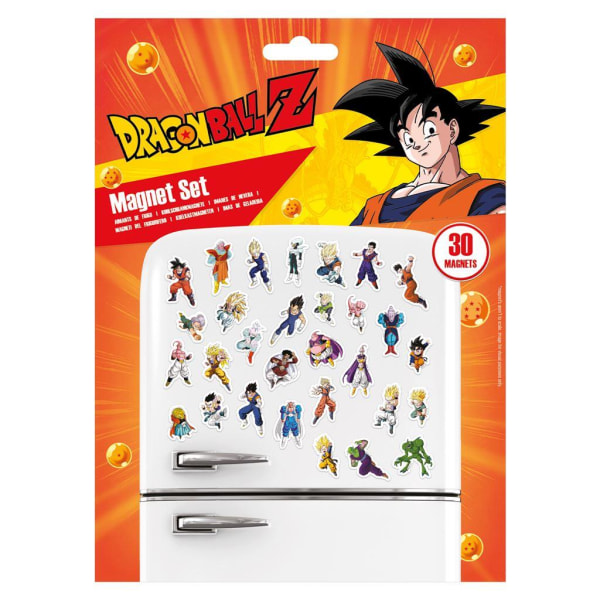 Dragon Ball Z kylskåpsmagnet (paket med 30) En one size flerfärgad Multicoloured One Size