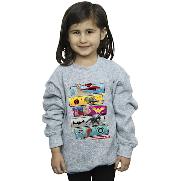 DC Comics Girls DC League Of Super-Pets Karaktär Pose Sweatshirt Sports Grey 5-6 Years