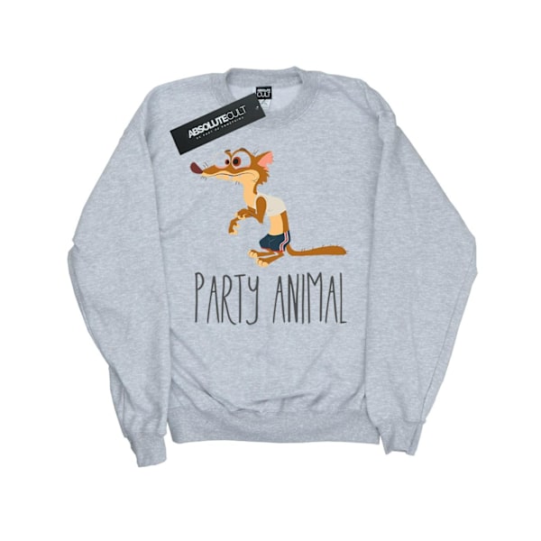 Disney Girls Zootropolis Party Animal Sweatshirt 12-13 år Sp Sports Grey 12-13 Years