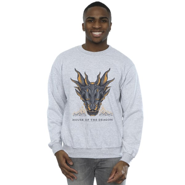 Game Of Thrones: House Of The Dragon Herr Dragon Flames Sweatshirt Sports Grey M