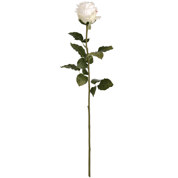 Hill Interiors Konstgjord Traditionell Ros En Storlek Vit White One Size