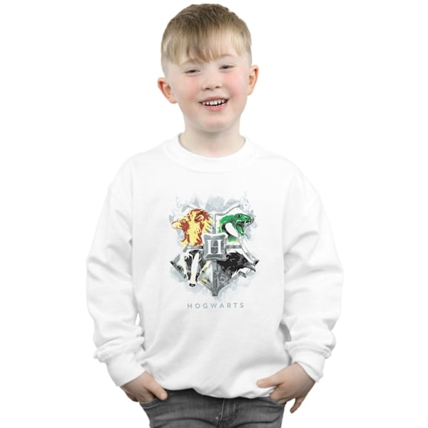 Harry Potter Pojkar Hogwarts Målad Crest Sweatshirt 7-8 År W White 7-8 Years