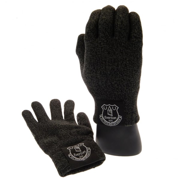 Everton FC Unisex Kids Lyxiga pekskärmshandskar One Size Grå Grey One Size
