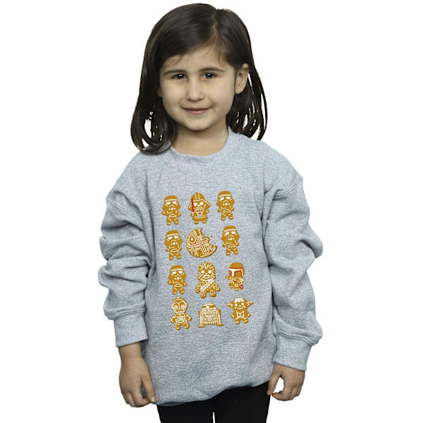 Star Wars Girls Episode IV: A New Hope 12 Pepparkakströja Sports Grey 7-8 Years