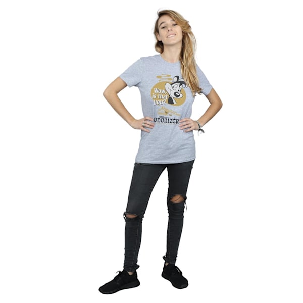 Looney Tunes Dam/Damer Pepe Le Pew Odorizer Bomull Pojkvän Sports Grey M