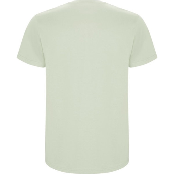 Roly Herr Stafford T-shirt 3XL Mist Green Mist Green 3XL