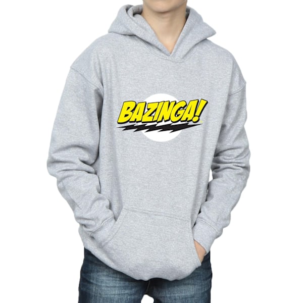 The Big Bang Theory Boys Sheldon Bazinga Hoodie 12-13 År Spo Sports Grey 12-13 Years