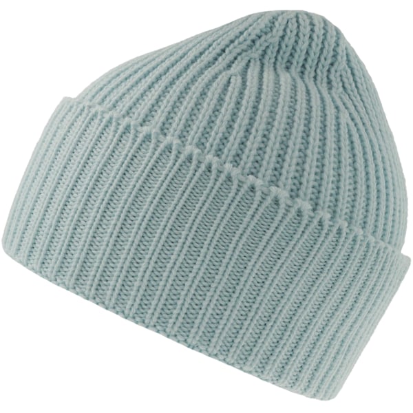 Atlantis Unisex Vuxen Ek Chunky Knit Beanie One Size Ljusblå Light Blue One Size
