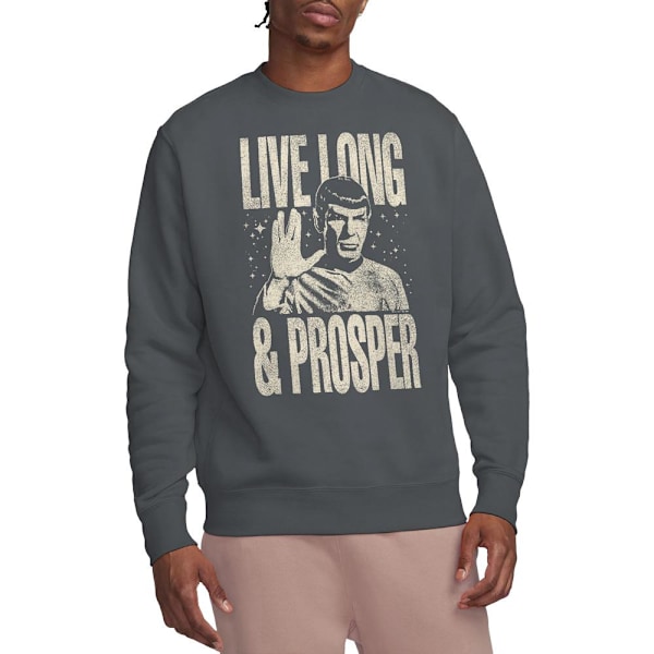 Star Trek: The Original Series Unisex Vuxen Prosper Spock Tröja Charcoal XL