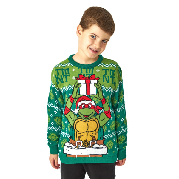 Teenage Mutant Ninja Turtles Boys Knitted Christmas Jumper 7-8 Green 7-8 Years