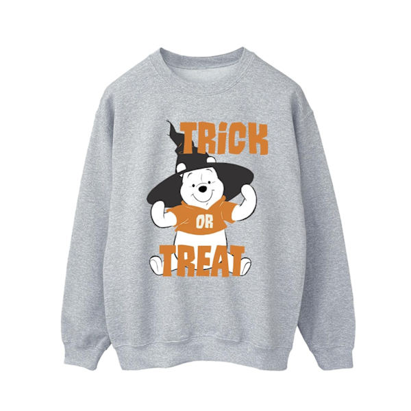 Disney Winnie The Pooh Trick Or Treat Sweatshirt 4XL Sport för män Sports Grey 4XL