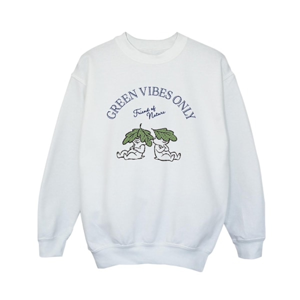 Disney Boys Chip ´n Dale Green Vibes Only Sweatshirt 3-4 år White 3-4 Years