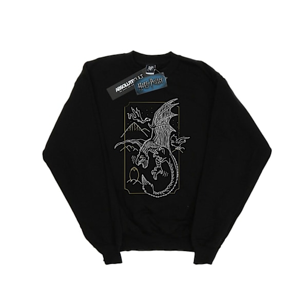 Harry Potter Dam/Kvinnor Dragon Line Art Sweatshirt S Svart Black S
