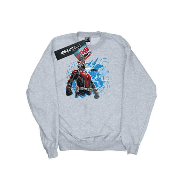 Marvel Dam/Kvinnor Ant-Man Stående Sweatshirt XXL Heather Grå Heather Grey XXL