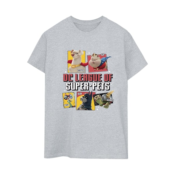 DC Comics Dam/Kvinnor DC League Of Super-Pets Profil Bomull Sports Grey M