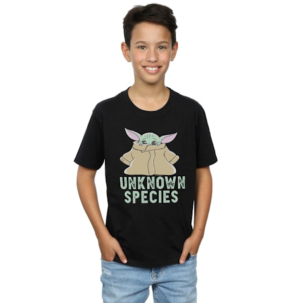 Star Wars Boys The Mandalorian Okänd Art T-shirt 12-13 år Black 12-13 Years