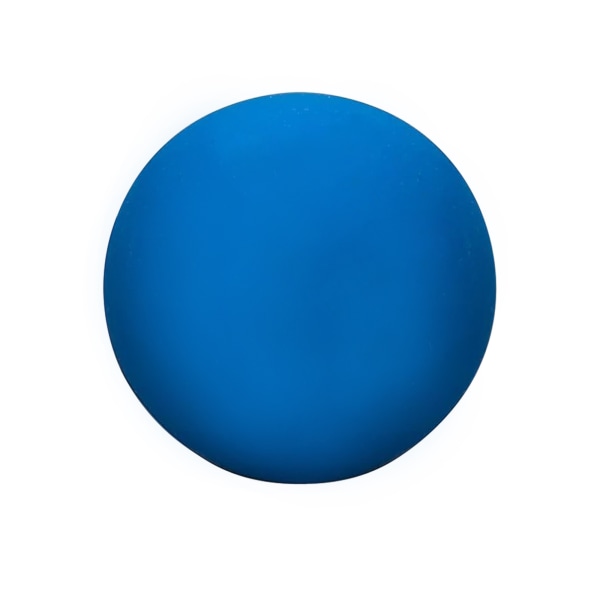 Dunlop Intro Squash Balls (Pack med 12) One Size Svart/Blå Black/Blue One Size