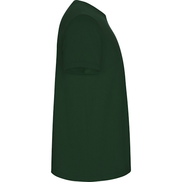 Roly Barn/Barn Stafford Kortärmad T-shirt 5-6 År Bo Bottle Green 5-6 Years