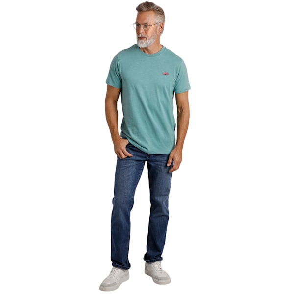 Weird Fish Mens Logo Organic Cotton T-Shirt 4XL Mineral Blue Mineral Blue 4XL