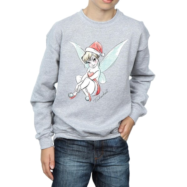 Disney Boys Tinkerbell Jul Fe Sweatshirt 7-8 År Spo Sports Grey 7-8 Years