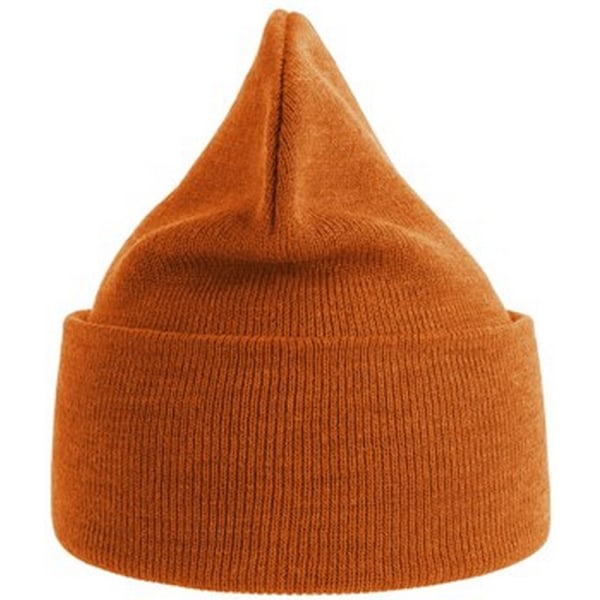Atlantis Unisex Vuxen Ren Beanie i Återvunnet Material En Storlek Orange Orange One Size