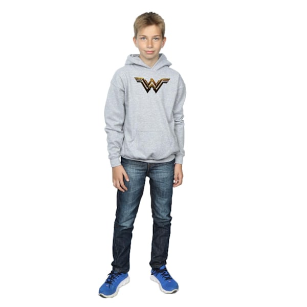 DC Comics Boys Justice League Movie Wonder Woman Emblem Hoodie Sports Grey 12-13 Years