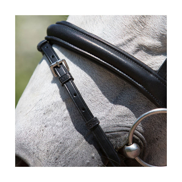 Kieffer Ultrasoft Fashion Snaffle Bridle Full Svart Black Full