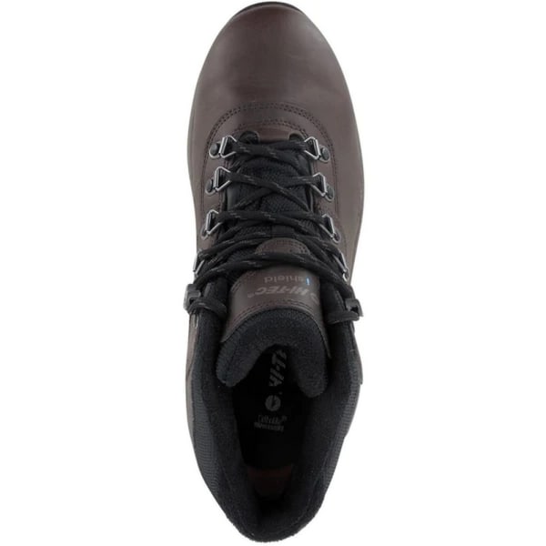 Hi-Tec Altitude VI Läder Vandringskängor för Herr 8 UK Mörk Choklad Dark Chocolate Brown 8 UK