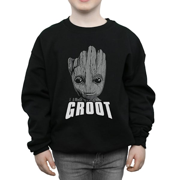 Marvel Boys Guardians Of The Galaxy Groot Face Sweatshirt 7-8 år Black 7-8 Years