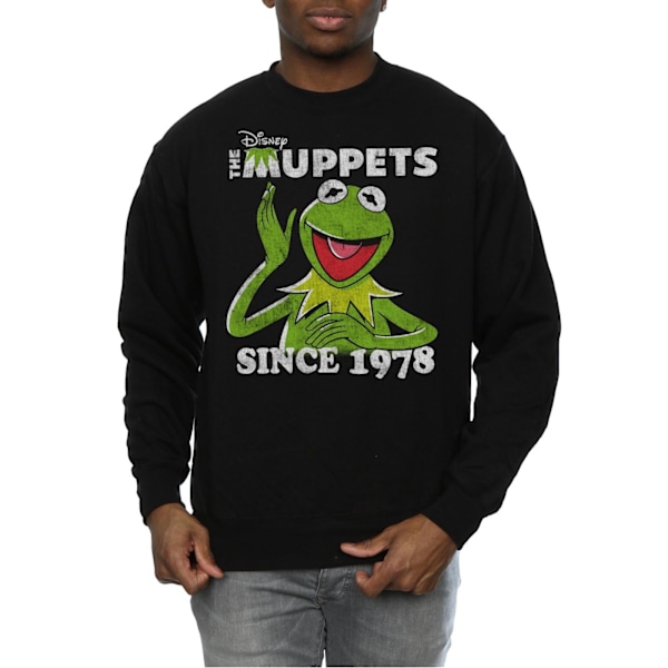 Disney Herr The Muppets Kermit Sedan 1978 Sweatshirt 3XL Svart Black 3XL