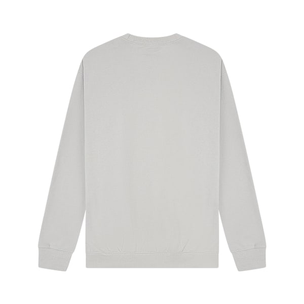 Casual Classics Unisex Vuxen Premium Kammad Bomull Förlängd Halsringning Lunar Grey 4XL