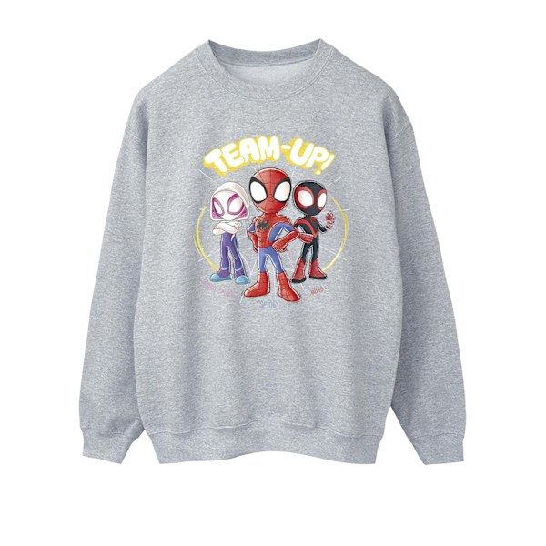 Marvel Dam/Kvinnor Spidey Och Hans Fantastiska Vänner Skiss Sweatshirt Sports Grey 3XL