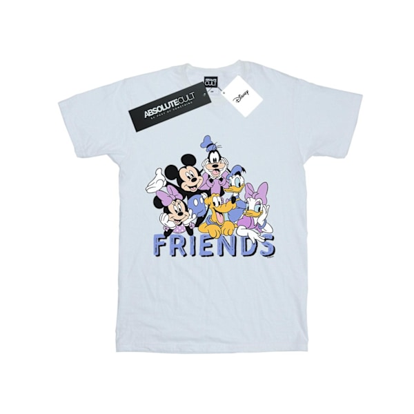 Disney Womens/Ladies Classic Friends Bomull Boyfriend T-Shirt 3 Sports Grey 3XL