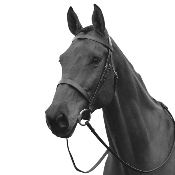 Kincade Hunt Läder Cavesson Bridle II Warmblood Svart Black Warmblood