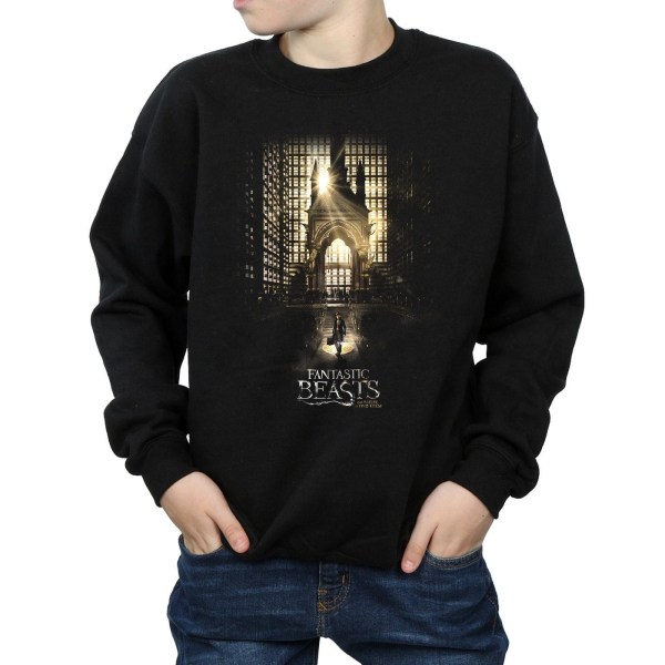 Fantastic Beasts Boys Movie Poster Sweatshirt 12-13 Years Black Black 12-13 Years
