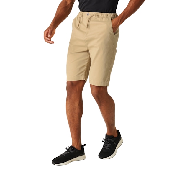 Regatta Aldan Chino Shorts 36R Oat för män Oat 36R