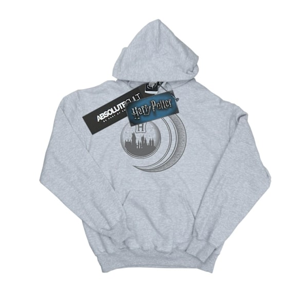 Harry Potter Herr Hogwarts Moon Hoodie L Sports Grey Sports Grey L