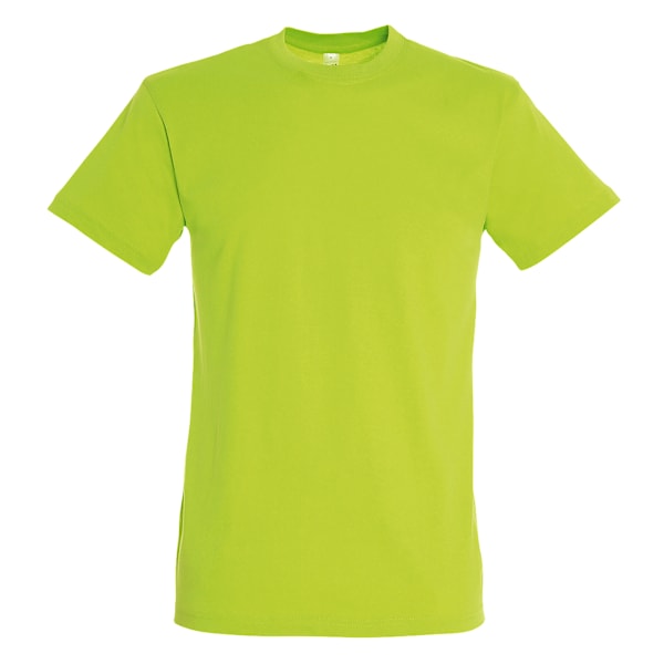 SOLS Regent Kortärmad T-shirt för män 4XL Äppelgrön Apple Green 4XL