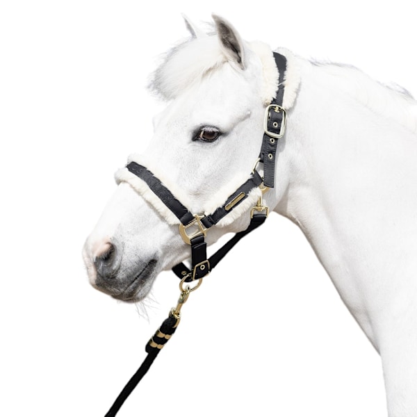 Coldstream Langlee Lyxig Hästgrimma och Ledrep Cob Bla Black Cob