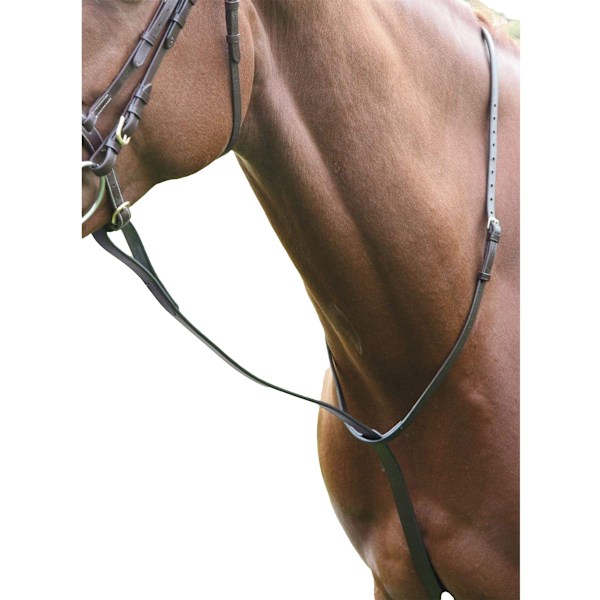 Blenheim Läder Häst Stående Martingale Cob Havana Havana Cob