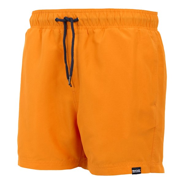 Regatta Herr Mawson II Baddräktsshorts L Celosia Orange/Navy Celosia Orange/Navy L