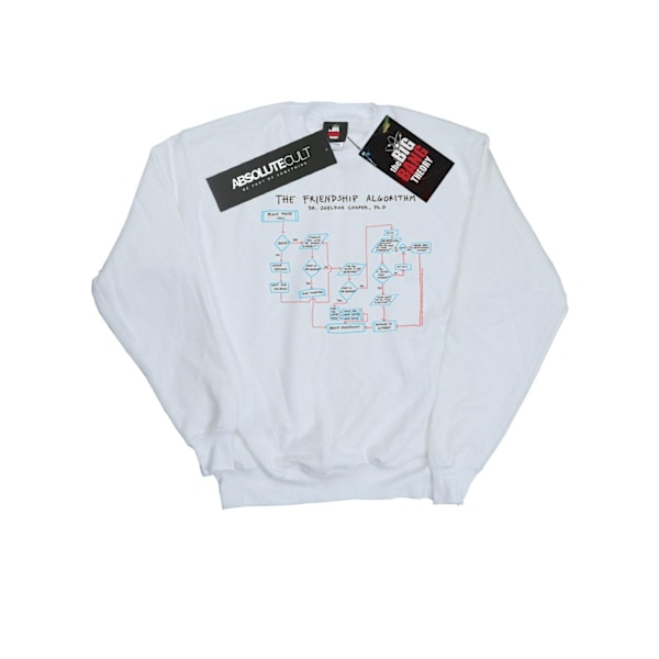 The Big Bang Theory Herr Vänskapsalgoritm Sweatshirt S Vit White S