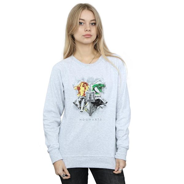 Harry Potter Dam/Damer Hogwarts Målad Crest Sweatshirt L Heather Grey L