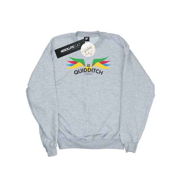 Harry Potter Herr Snitch Wings Pasteller Sweatshirt M Sports Grey Sports Grey M