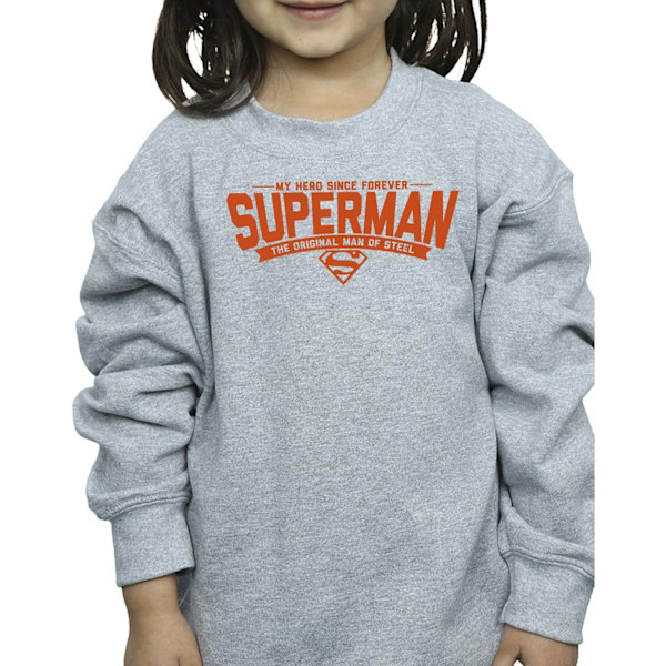 DC Comics Girls Superman Hero Dad Sweatshirt 12-13 år Sport Sports Grey 12-13 Years