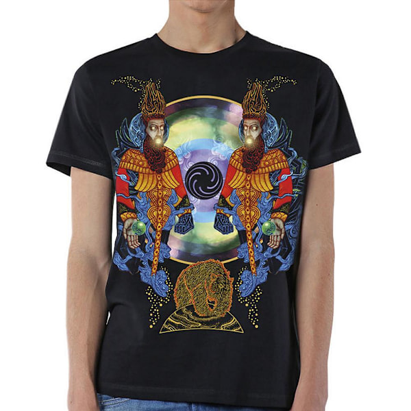 Mastodon Unisex Vuxen Crack The Skye Bomulls T-shirt L Svart Black L