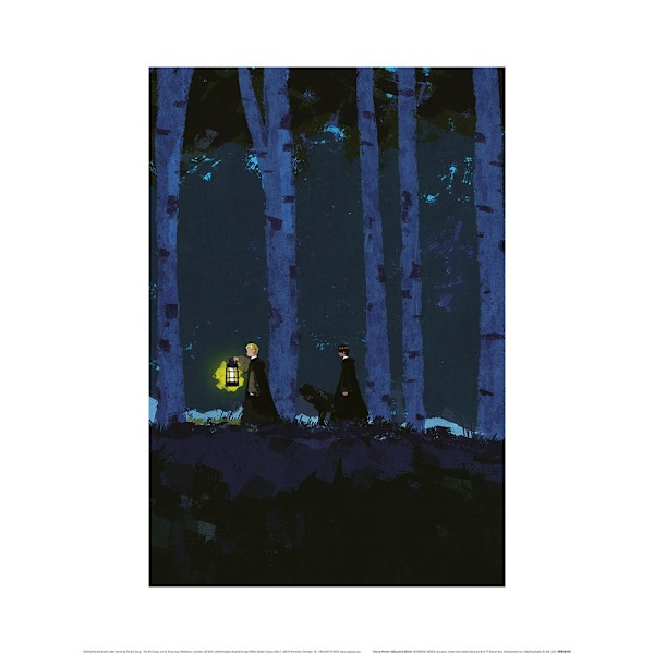 Harry Potter Wooded Walk Print 60cm x 80cm Marinblå/Svart Navy/Black 60cm x 80cm